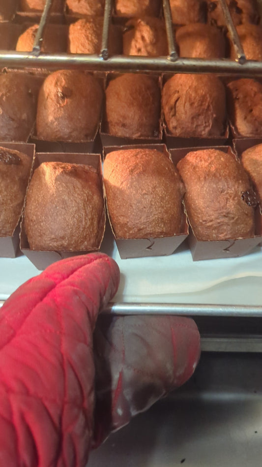 Chocolate chocolate chip bread